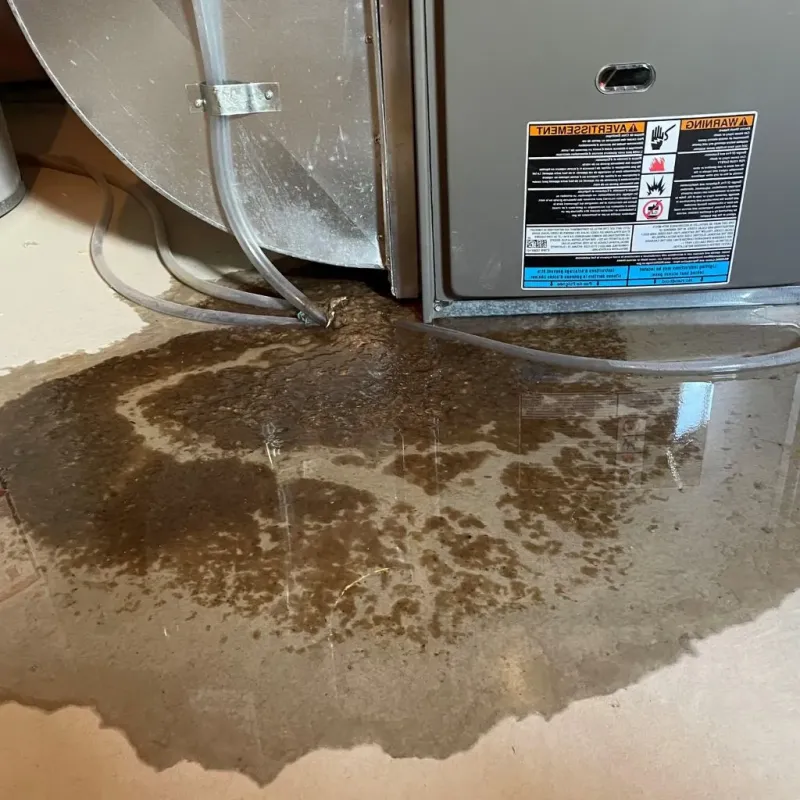 Pipe Burst and Leak Restoration in Ilion, NY